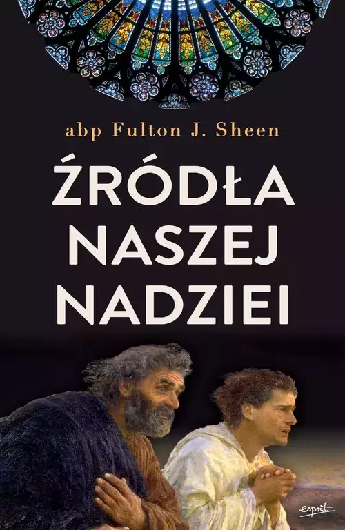 Źródła naszej nadziei. Nieprzemijające słowa pociechy i ufności - Książki