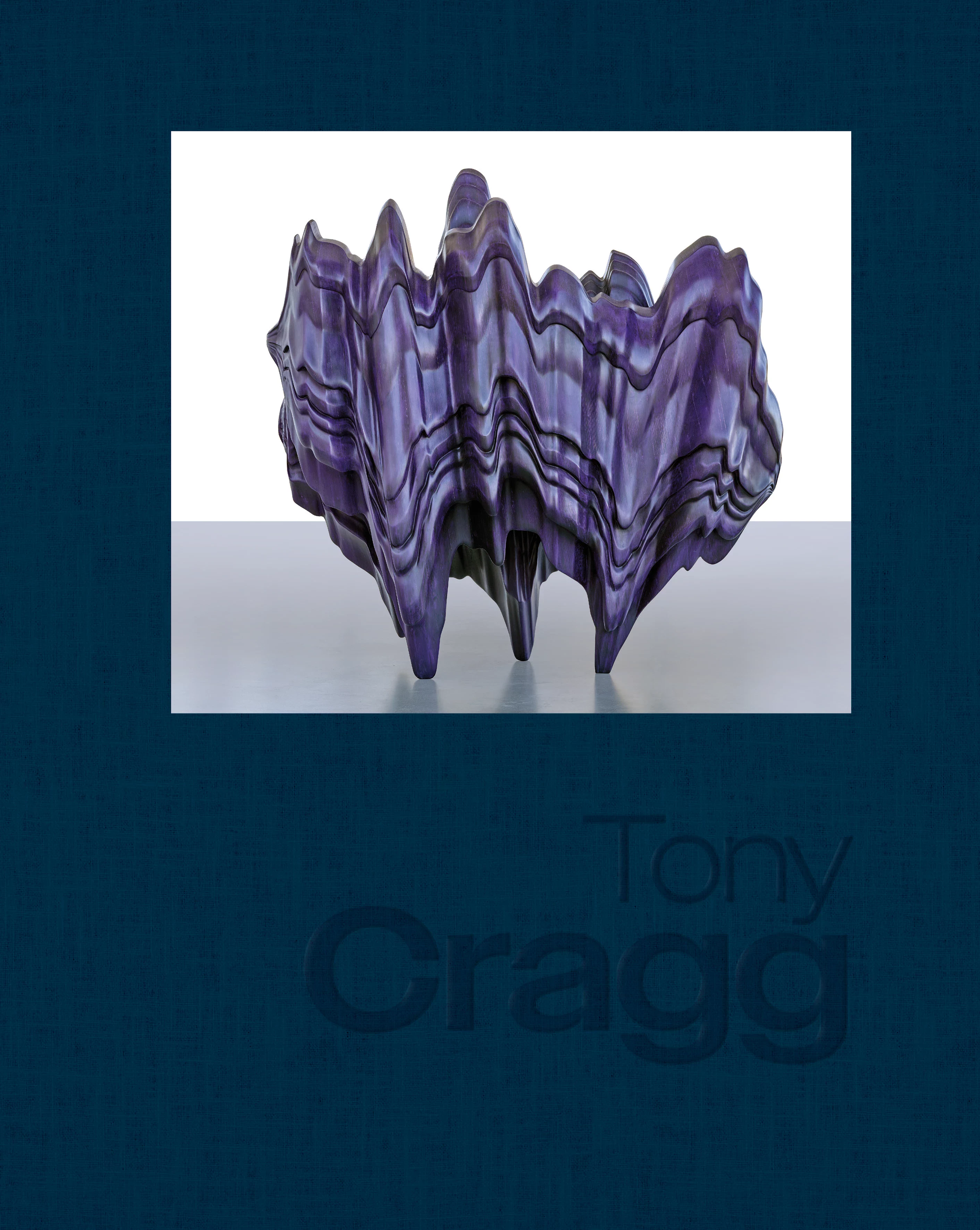 Tony Cragg Rzeźby i prace na papierze - Książki