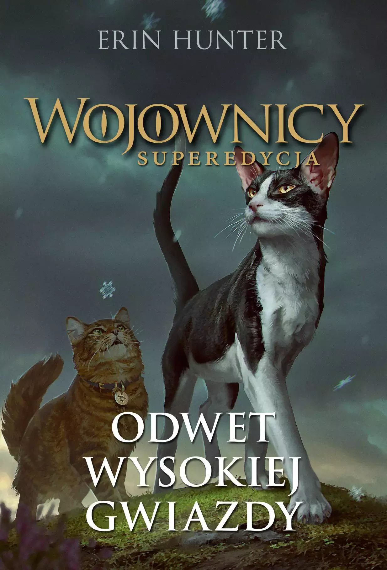 Wojownicy. Superedycja. 4. erin Hunter Odwet Wysokiej Gwiazdy. Wojownicy. Superedycja tom 4 - Książki