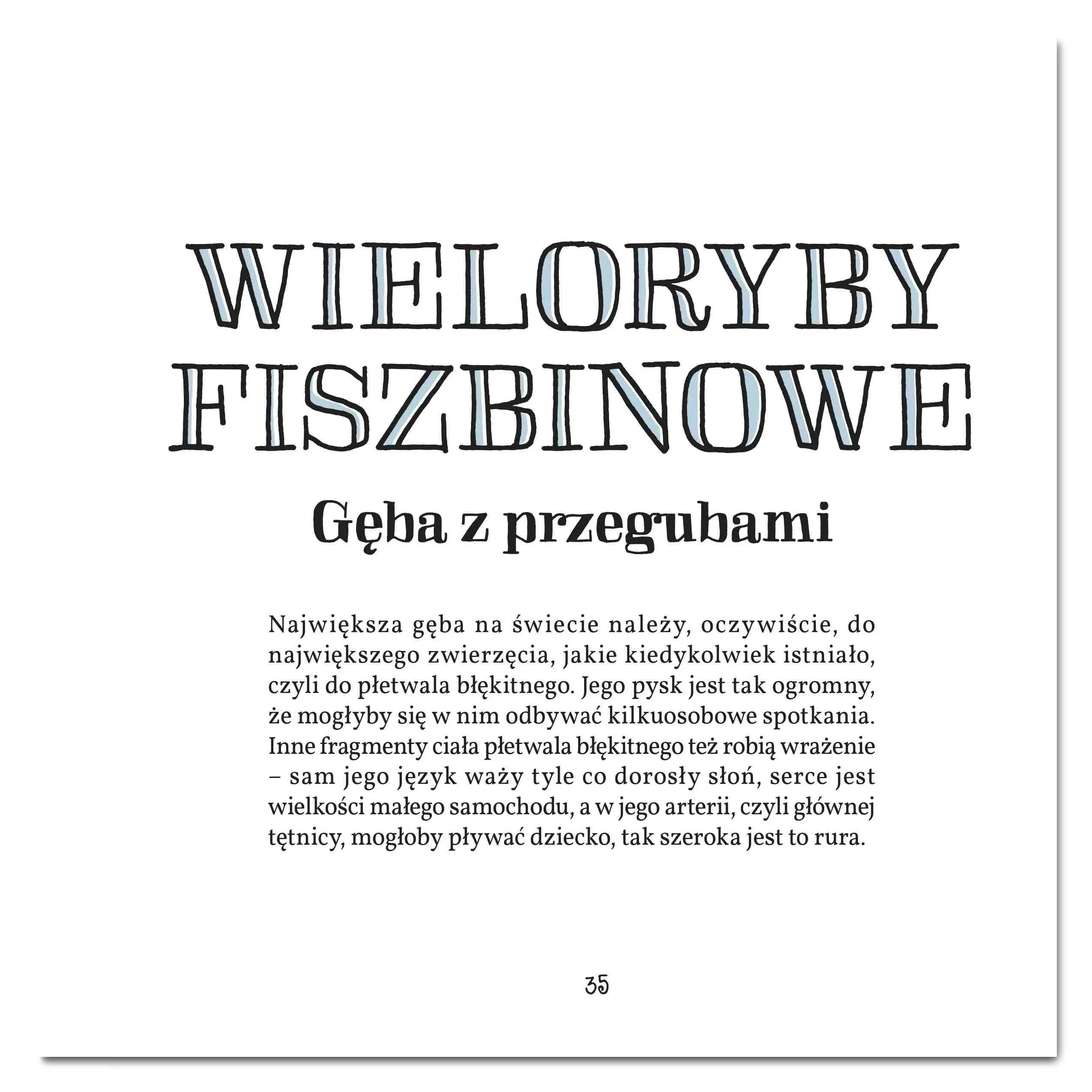 Gęby, dzioby i nochale - Książki
