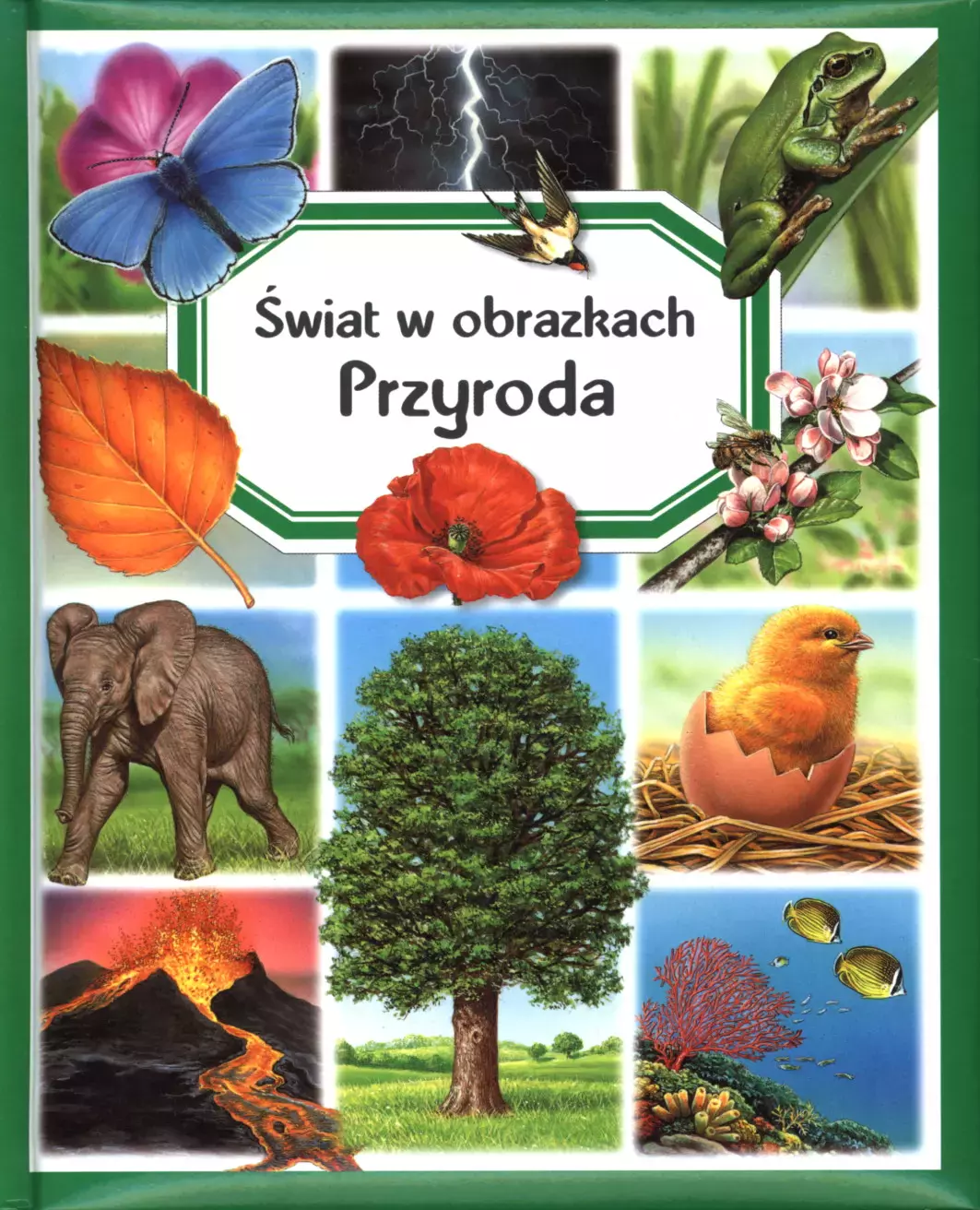 Świat w obrazkach. Przyroda - Książki