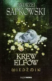 Wiedźmin. Krew elfów - Książki
