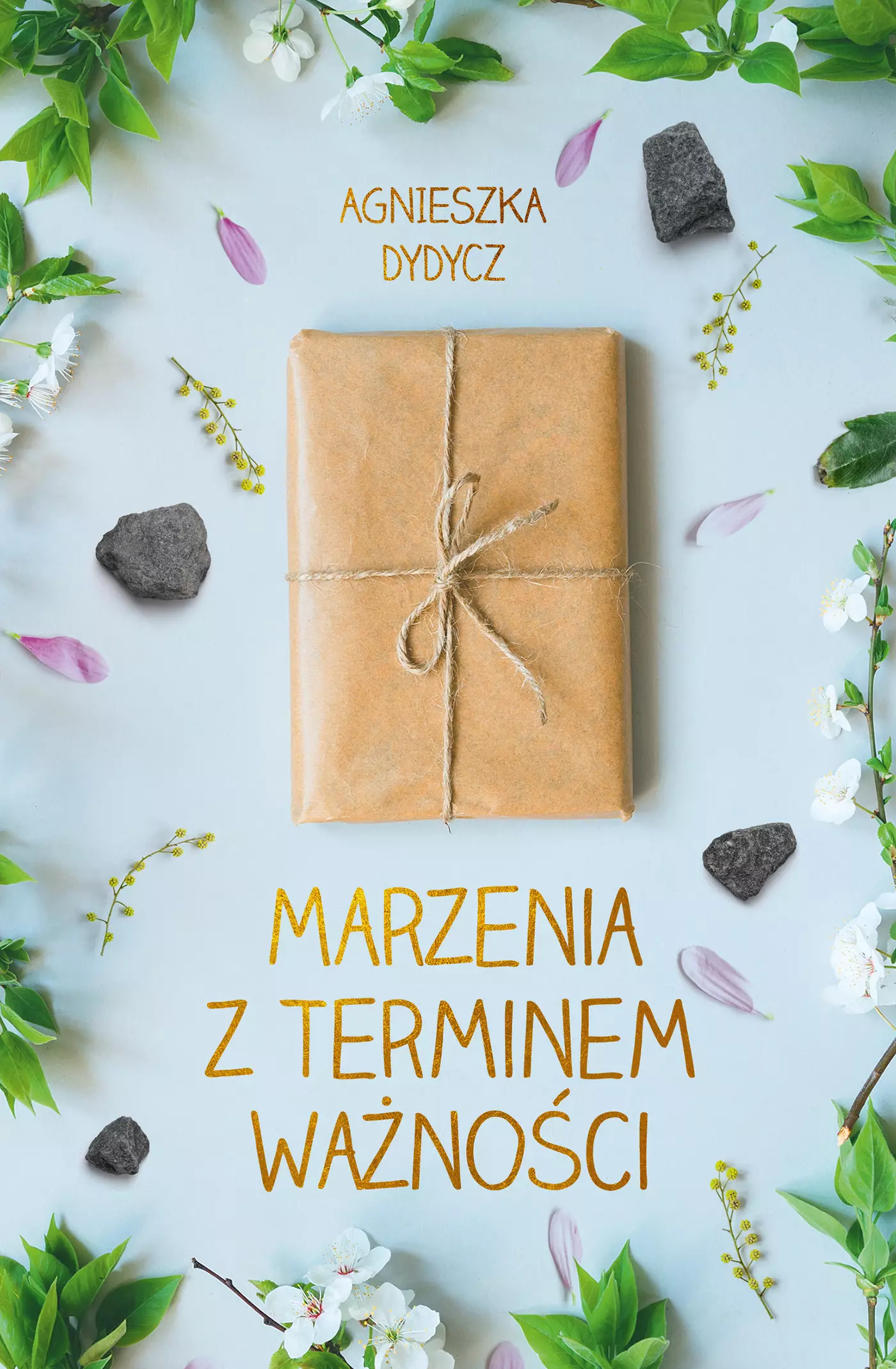 Marzenia z terminem ważności - Książki