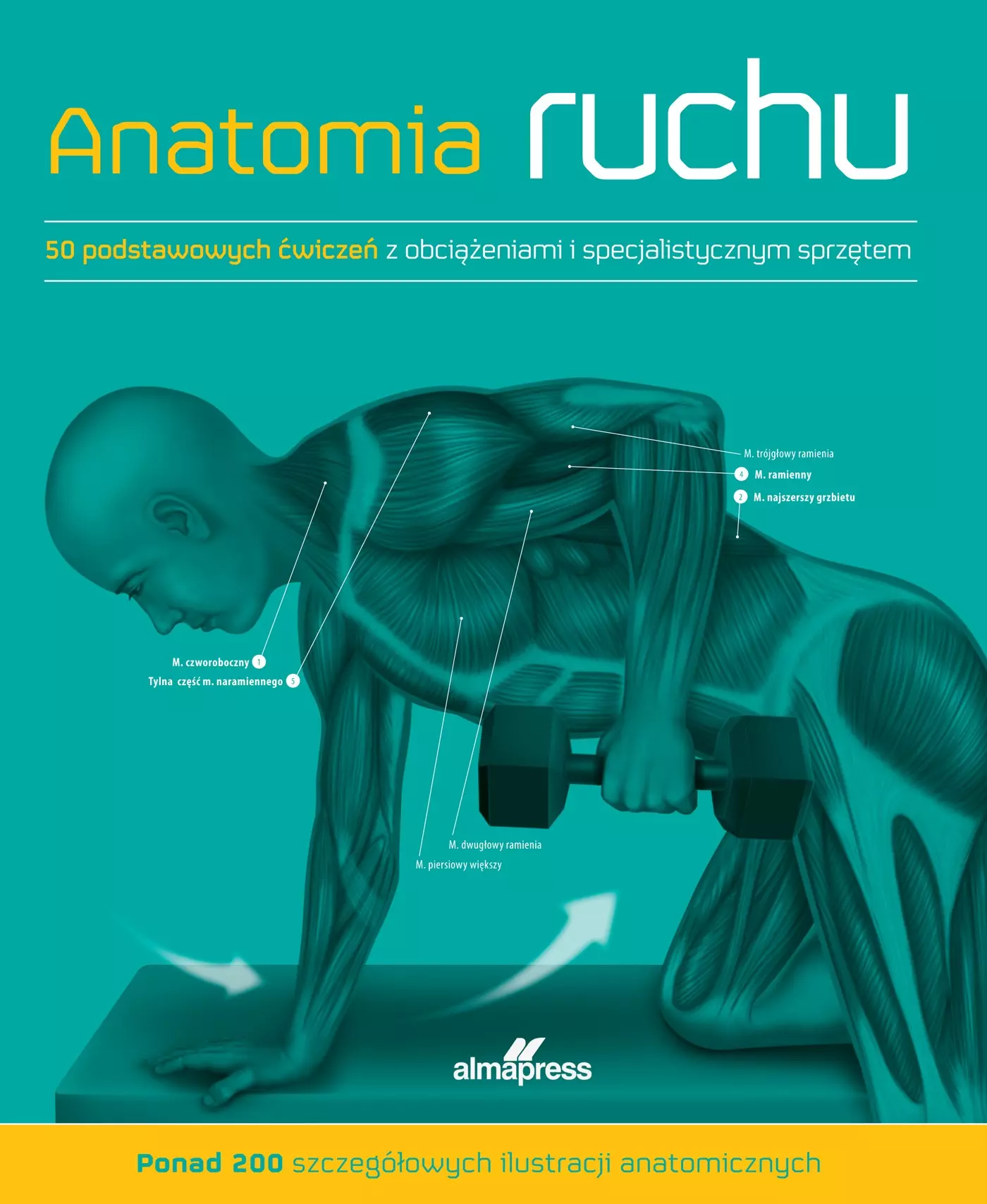 Anatomia ruchu. Podręcznik ćwiczeń - Książki