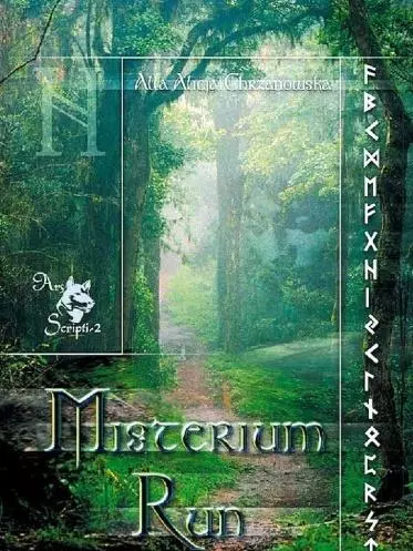 Misterium run w.2 - Książki
