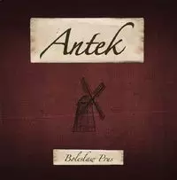 Antek. Audiobook - Audiobooki