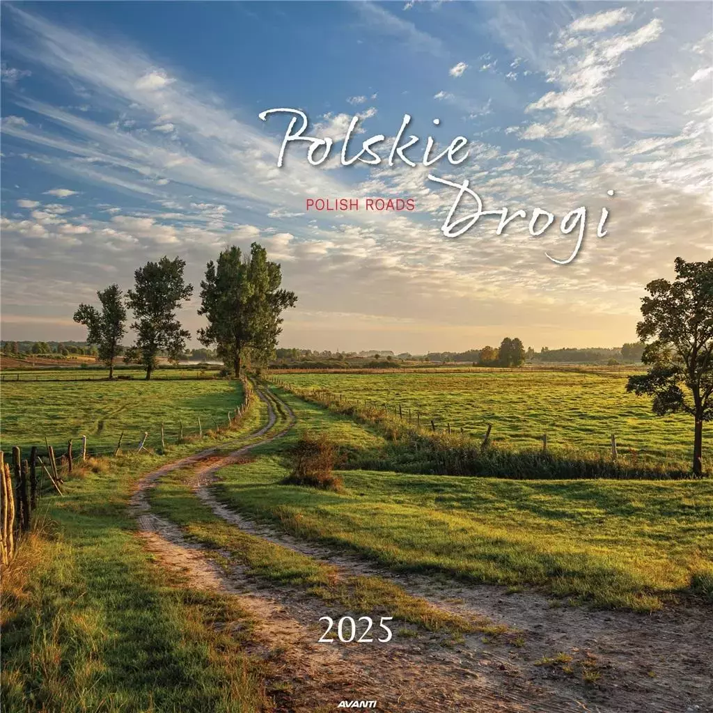 Kalendarz 2025 ścienny Polskie drogi - Książki