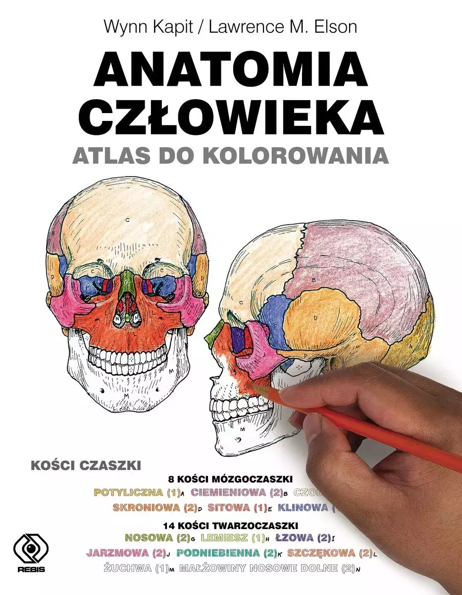 Anatomia człowieka. Atlas do kolorowania - Książki