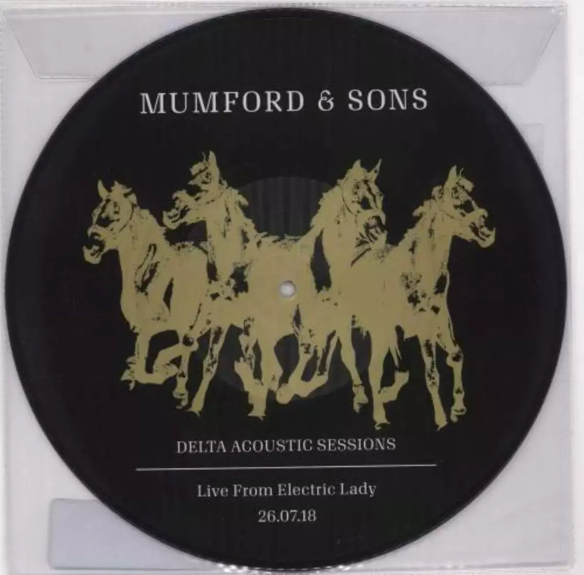 Delta Acoustic. Winyl - Muzyka
