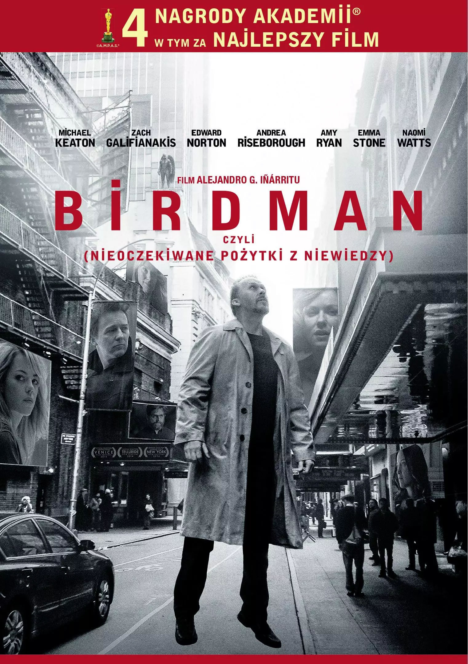 Birdman, DVD - Filmy