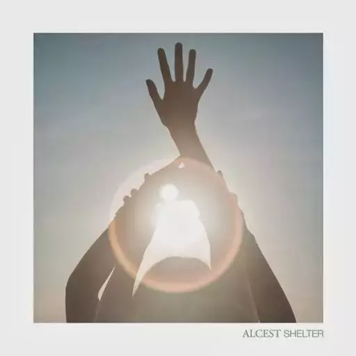 Shelter. CD - Muzyka