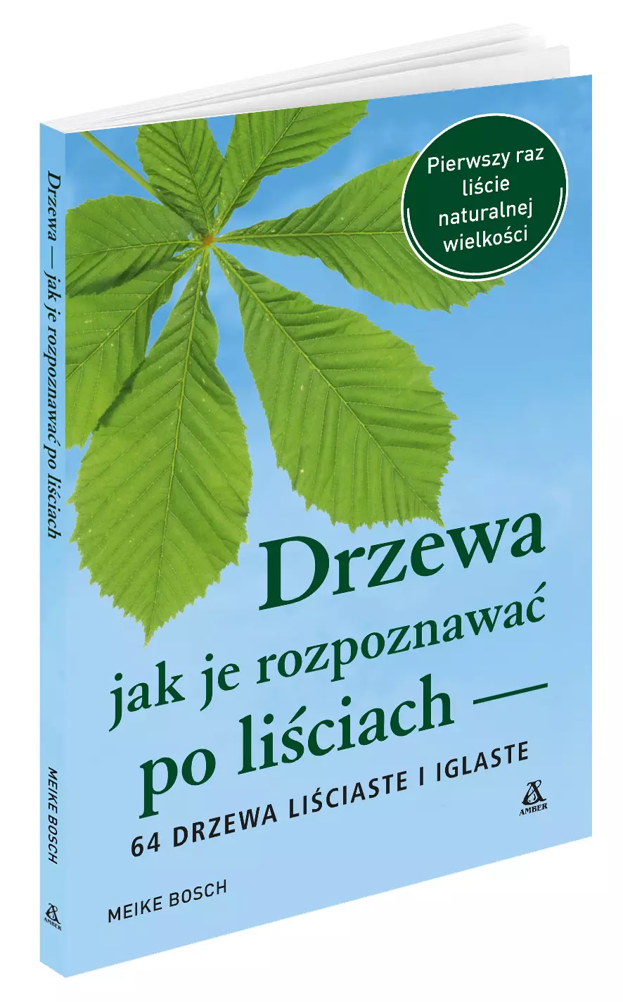 Drzewa - jak je rozpoznawać po liściach - Książki