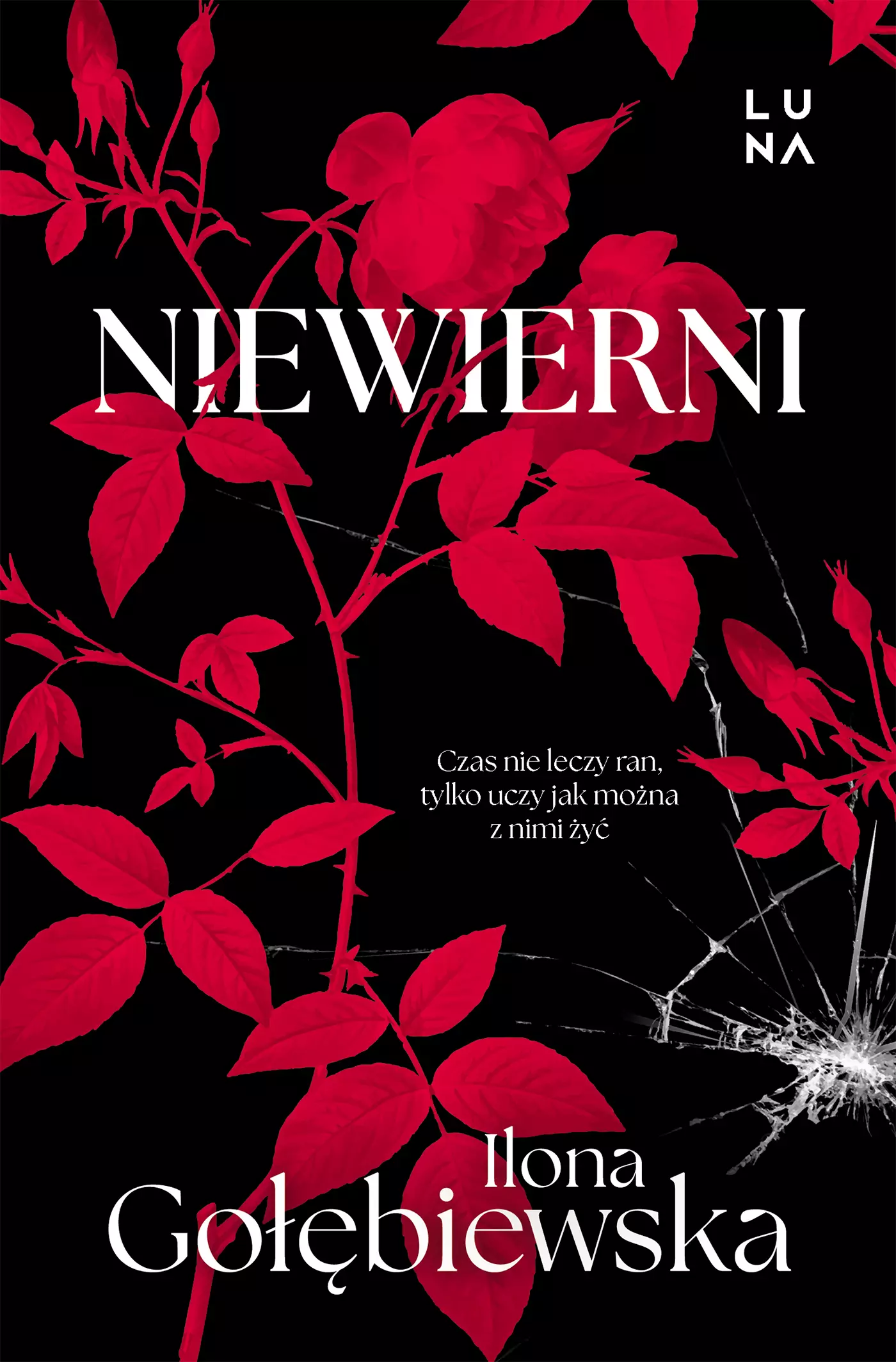 Niewierni - Książki