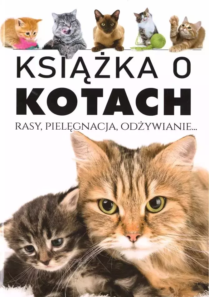 Książka o kotach. Rasy, pielęgnacja, odżywianie - Książki
