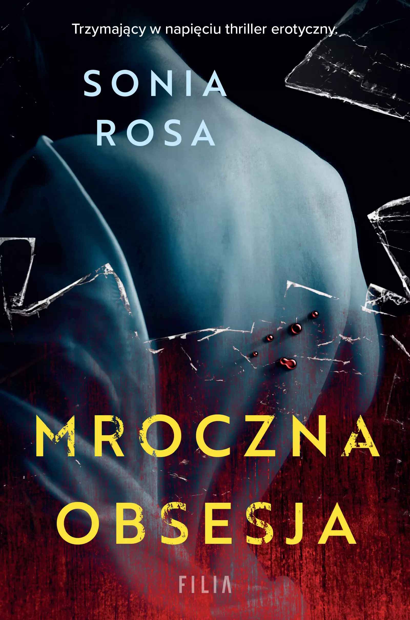 Mroczna obsesja - Książki