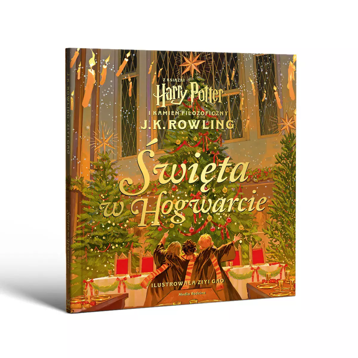 Harry Potter. Święta w Hogwarcie - Książki