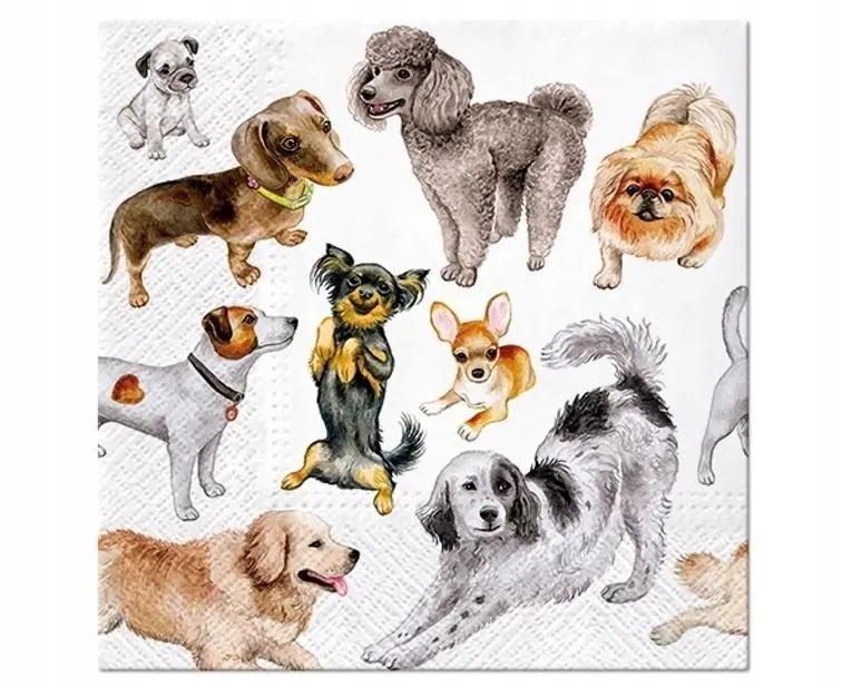 Serwetki papierowe Paw Dogs Happiness 33x33 cm 20 szt. - Impreza