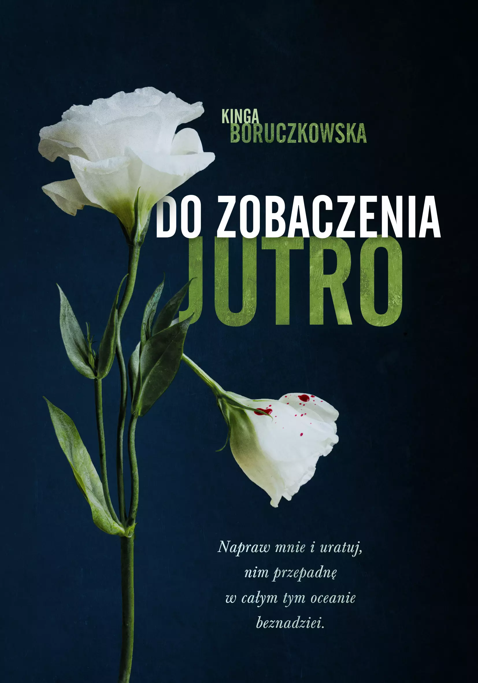 Do zobaczenia jutro - Książki