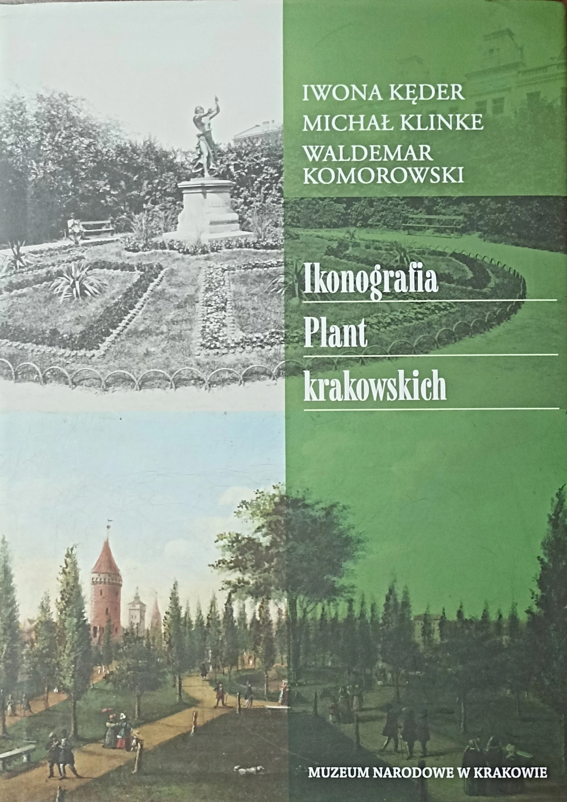 Ikonografia plant krakowskich - Książki