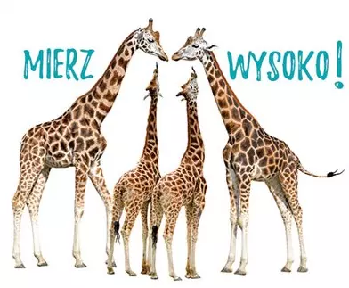 Perełka 291. Mierz wysoko! - Książki