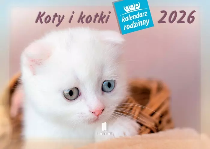 Kalendarz 2026 rodzinny Koty i kotki - Książki