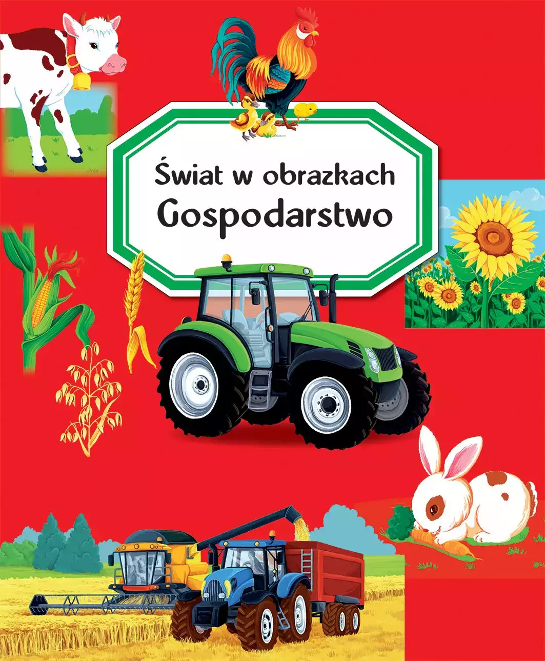 Świat w obrazkach. Gospodarstwo - Książki