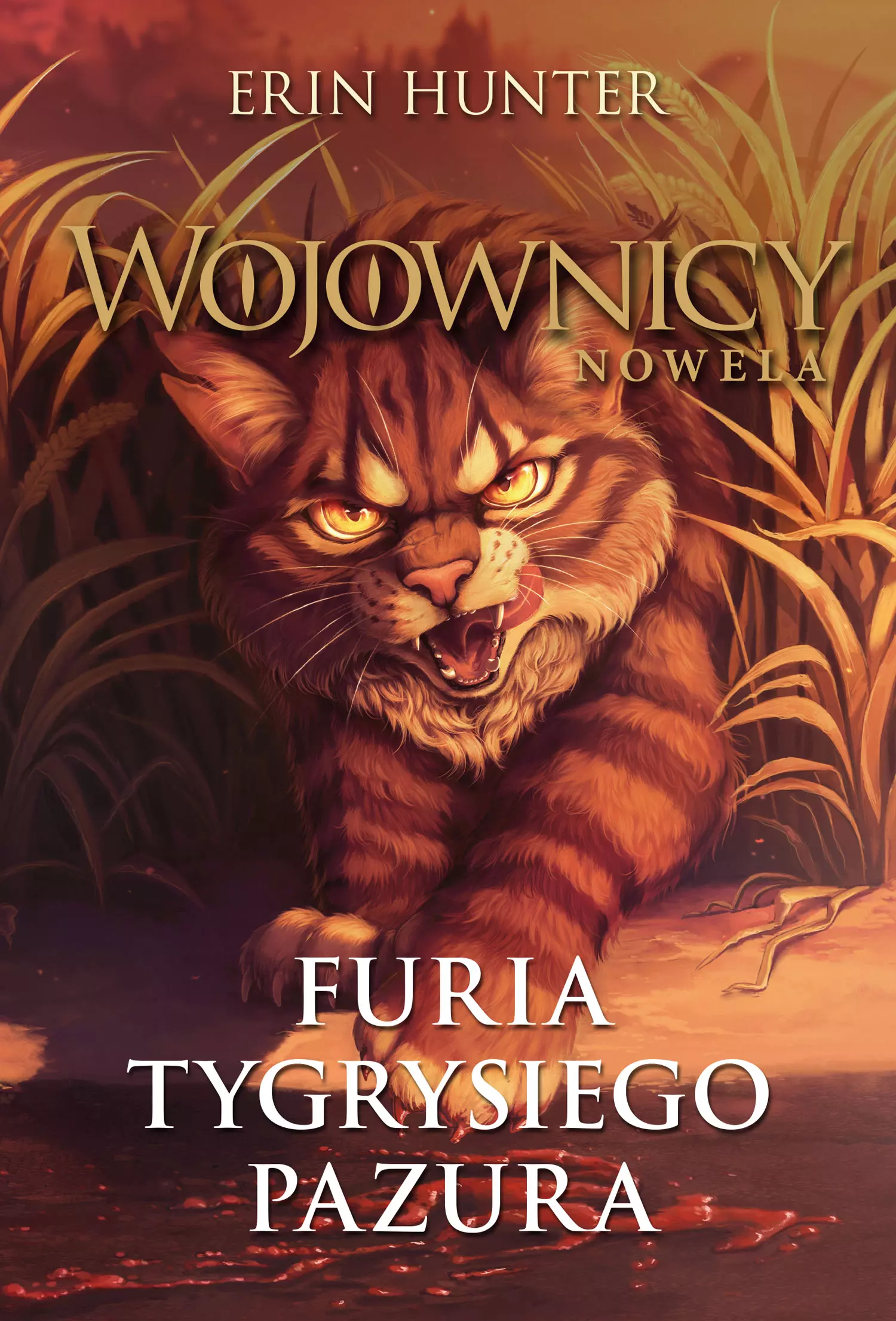 Furia Tygrysiego Pazura. Wojownicy. Nowela - Książki