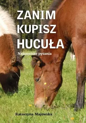 Zanim kupisz hucuła. Najczęstsze pytania - Książki