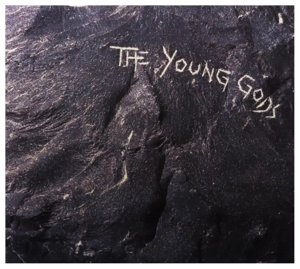 The Young Gods, CD - Muzyka