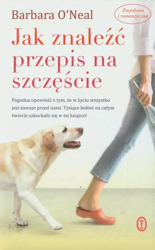 Jak znaleźć przepis na szczęście, książka papierowa - Książki