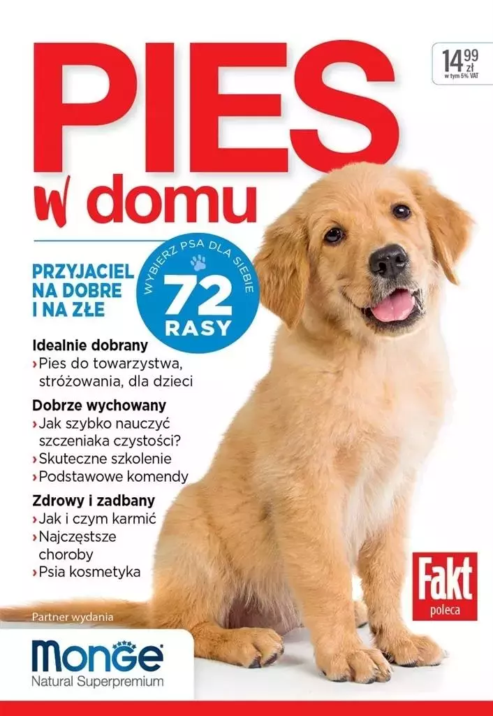 Pies w domu - Książki