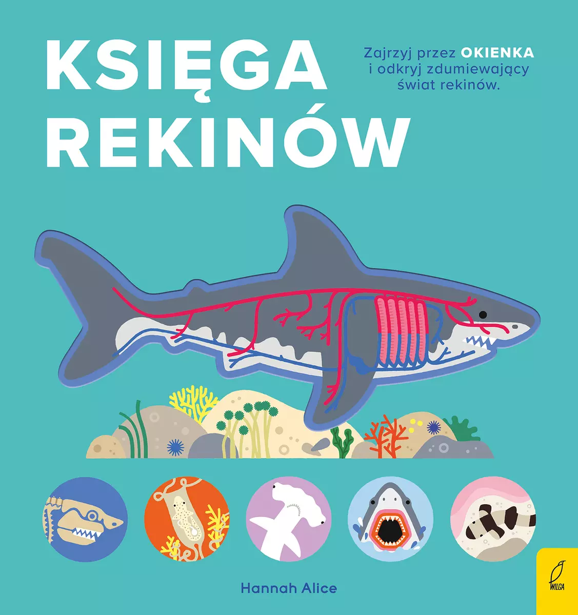 Encyklopedia z folią. Księga rekinów - Książki