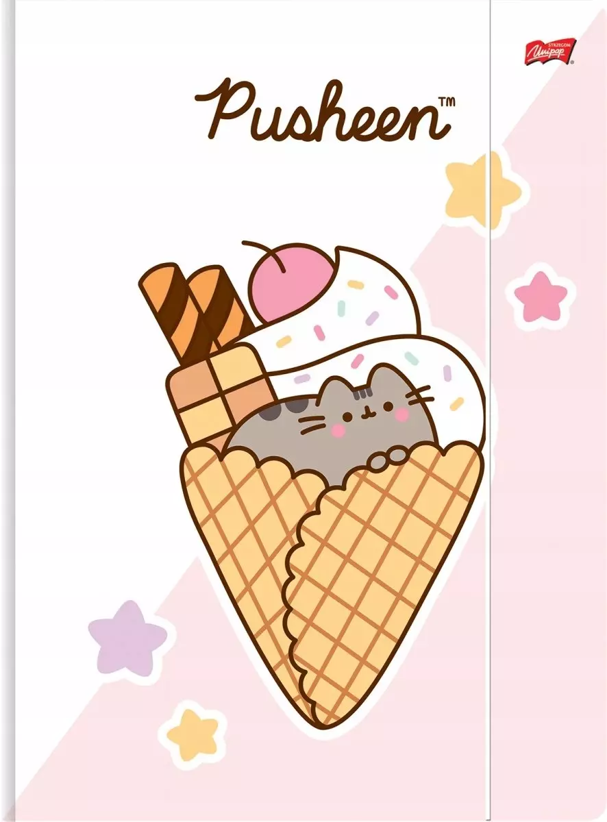 Teczka z gumką A4 300g/m2 Pusheen - Papiernicze i szkolne