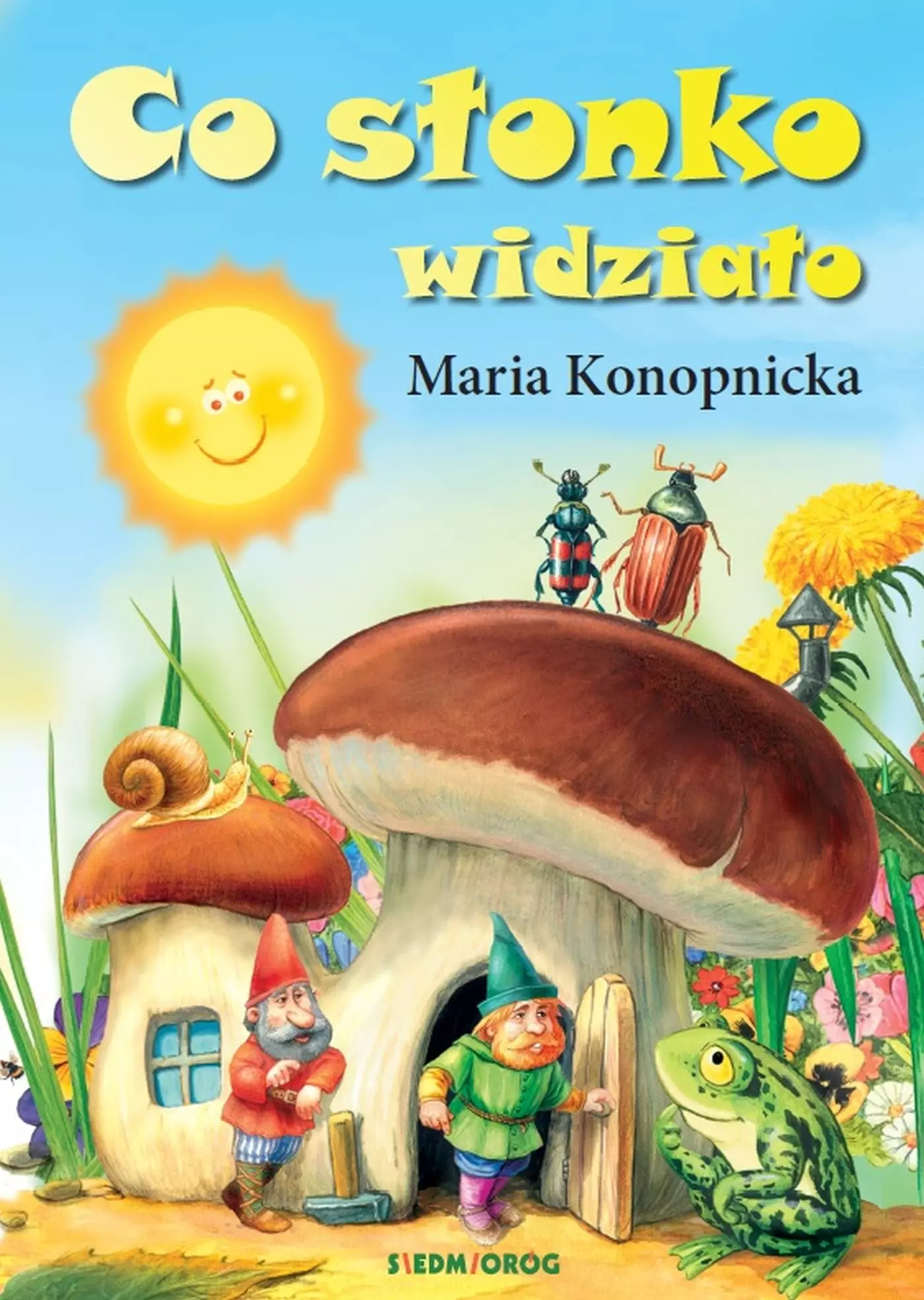 Co słonko widziało - Książki