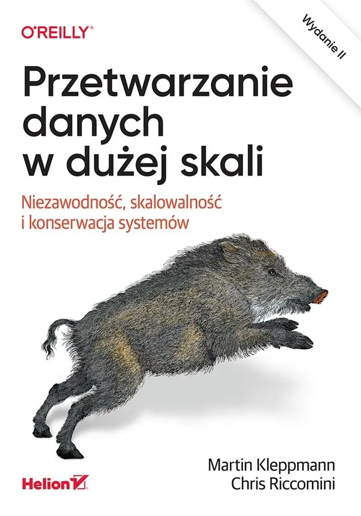 Przetwarzanie danych w dużej skali - Książki