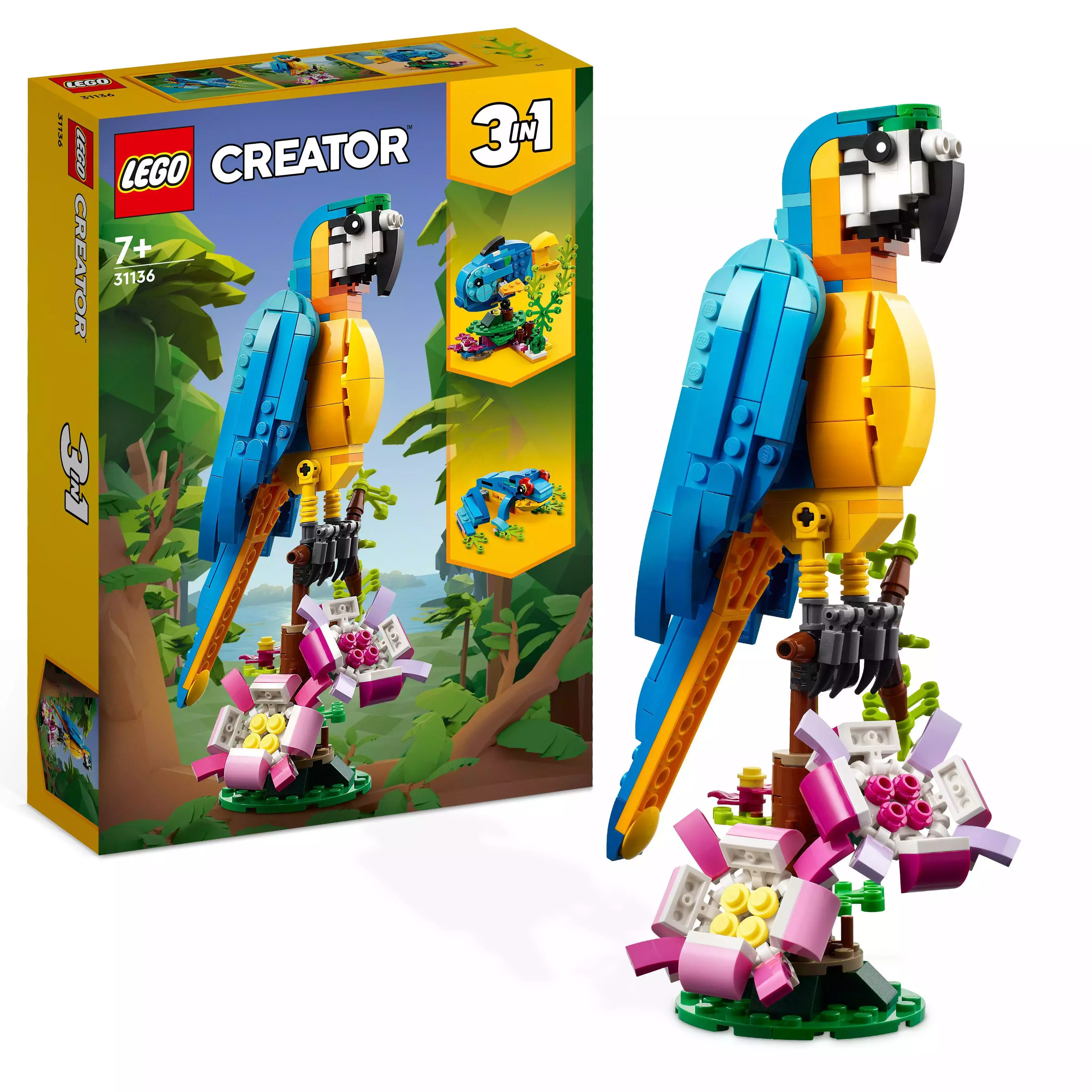 LEGO Creator 3 w 1 Egzotyczna papuga 31136 - Zabawki