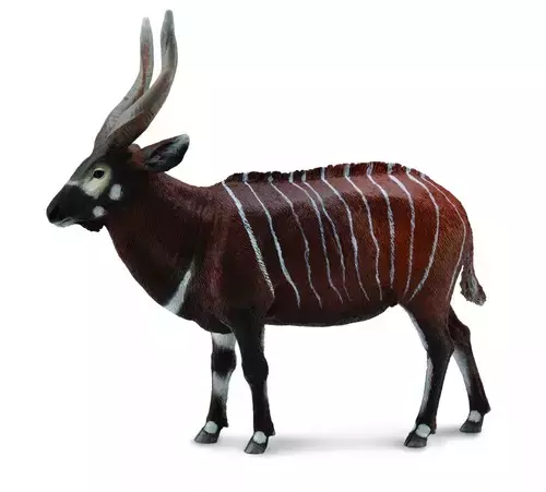 Antylopa Bongo XL - Gry