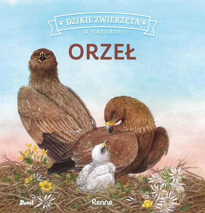 Dzikie zwierzęta w naturze. Orzeł - Książki