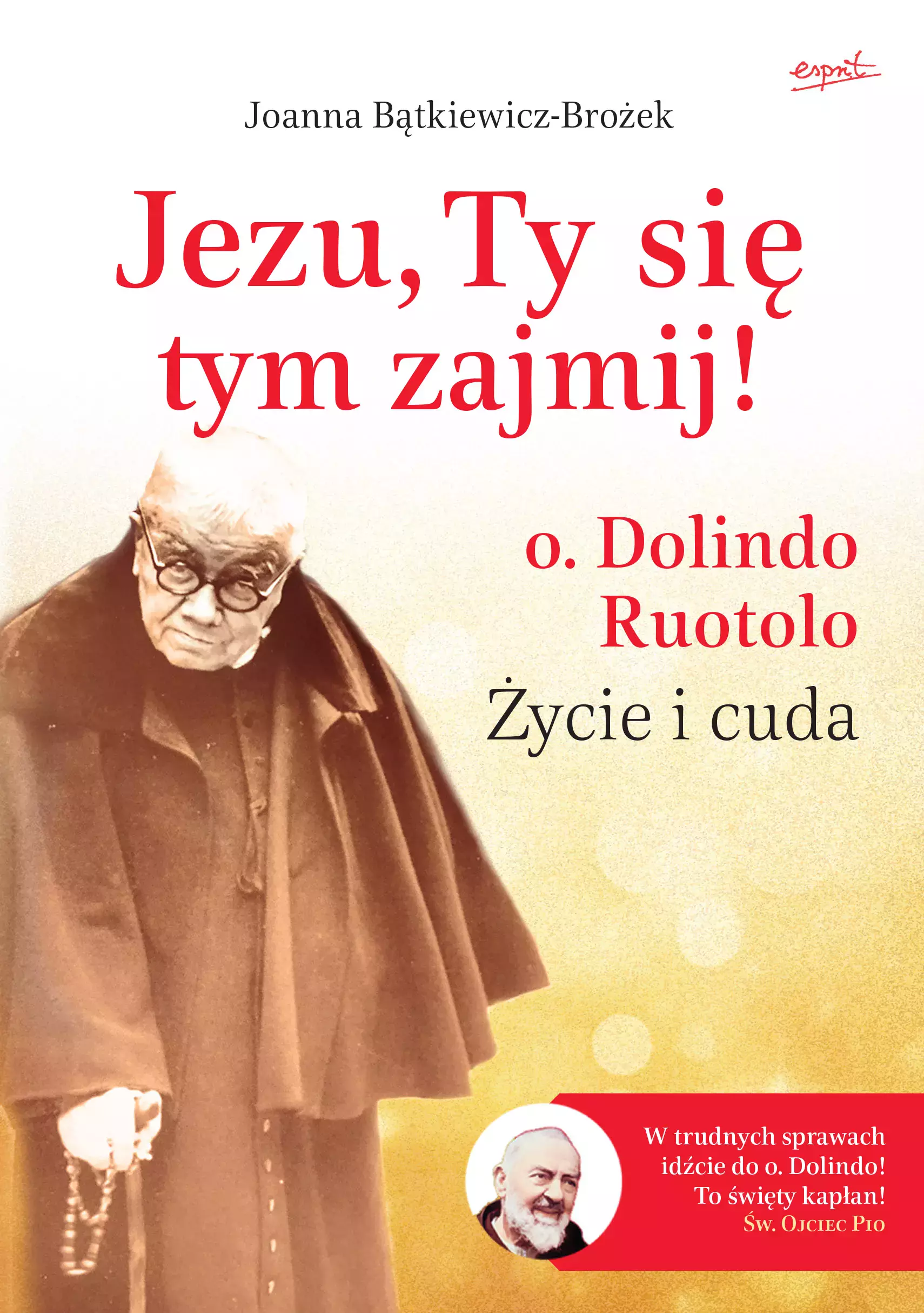 Jezu, Ty się tym zajmij! o. Dolindo Ruotolo. Życie i cuda, wydanie 2 - Książki