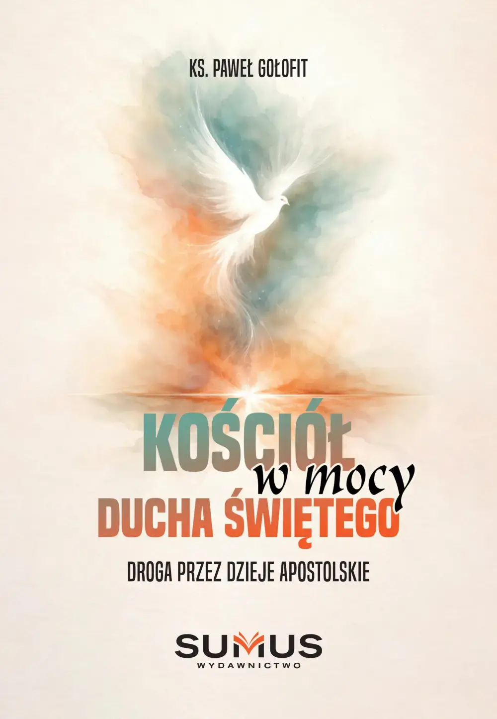 Kościół w mocy Ducha Świętego - Książki