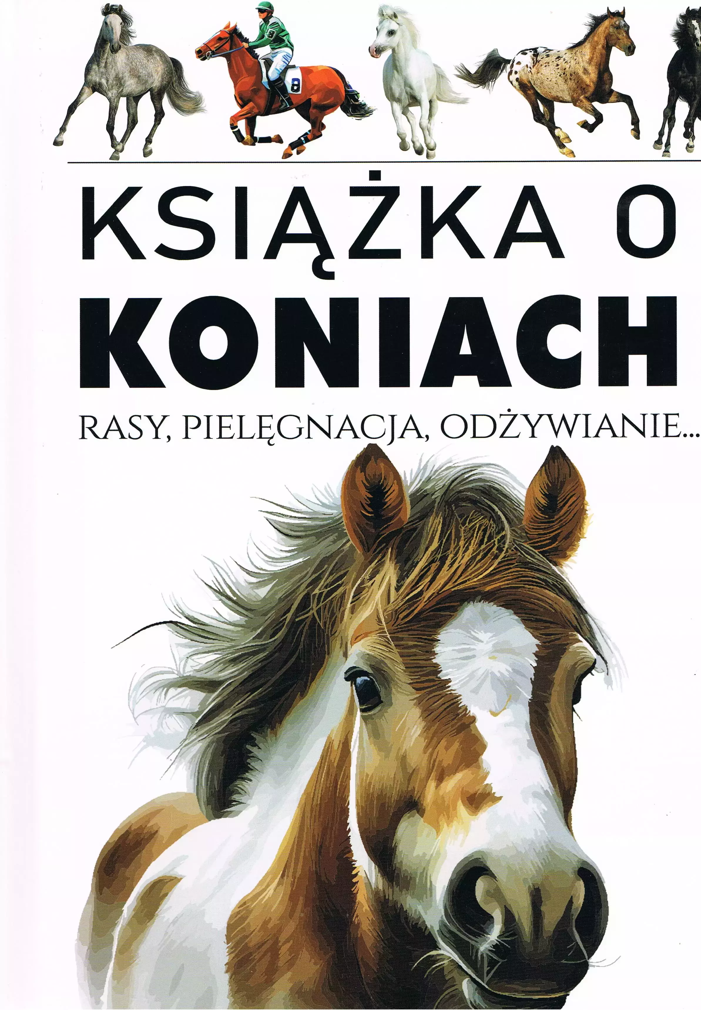 Książka o koniach - Książki
