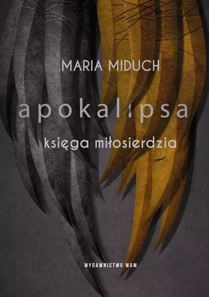 Apokalipsa. Księga miłosierdzia - Książki