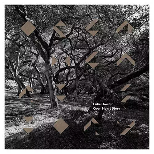 Open Heart Story, LP - Muzyka