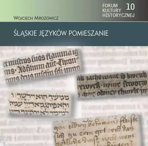Śląskie języków pomieszanie - Książki
