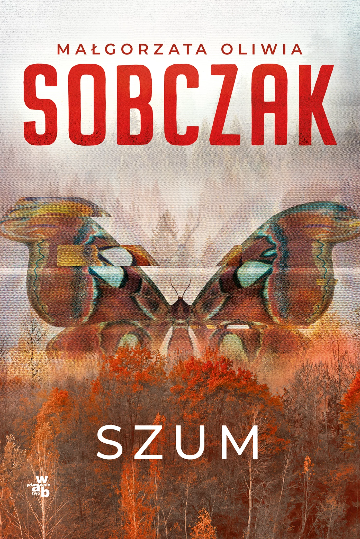 Granice ryzyka. Szum - Książki