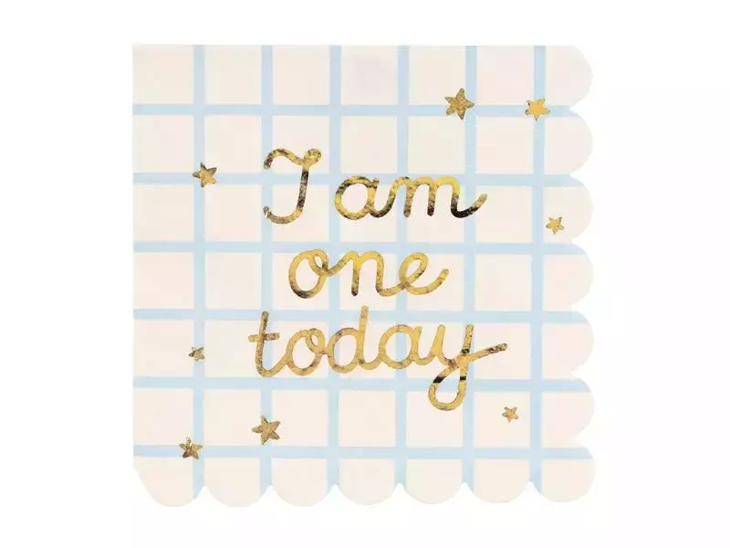 Serwetki papierowe I am one today 33x33cm - Papiernicze i szkolne