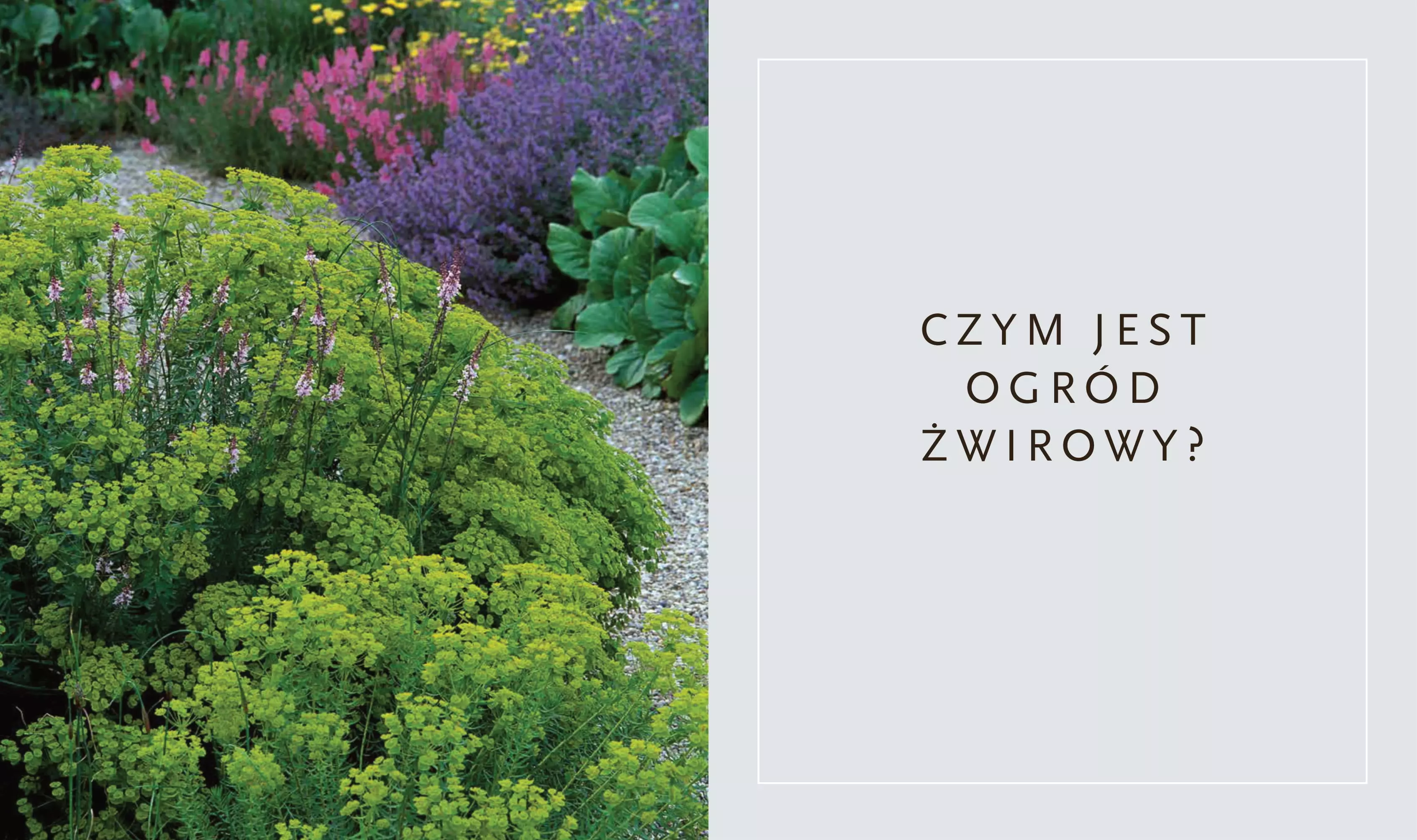 Suchy ogród. Lekcje z Ogrodu Żwirowego Beth Chatto - Książki
