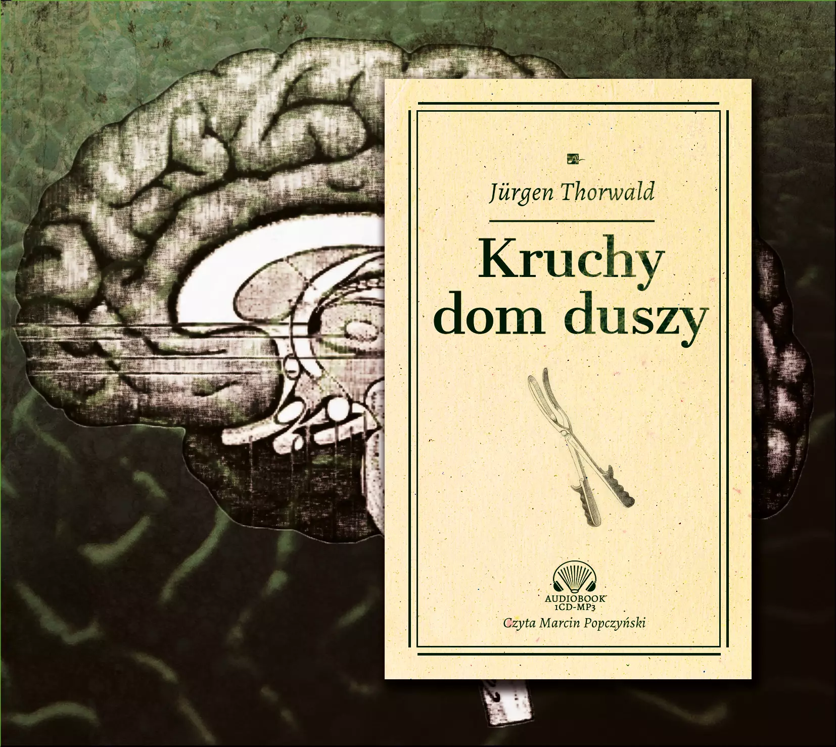 Kruchy dom duszy. Audiobook - Audiobooki