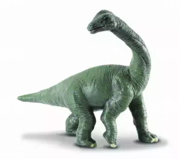 Dinozaur młody Brachiozaur - Książki