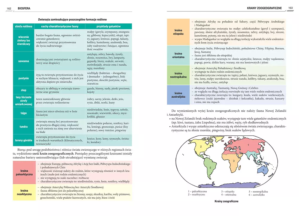 Repetytorium maturzysty - geografia - Książki